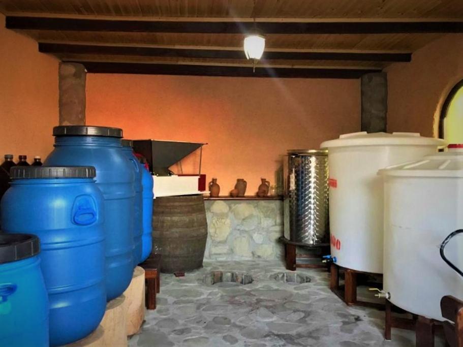 Guesthouse Lilia &Wine Celler Telavi Esterno foto
